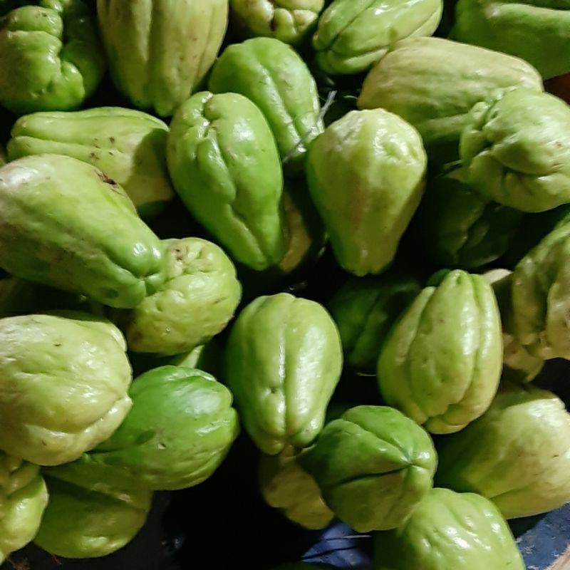 

Labu Sayur 3 pcs