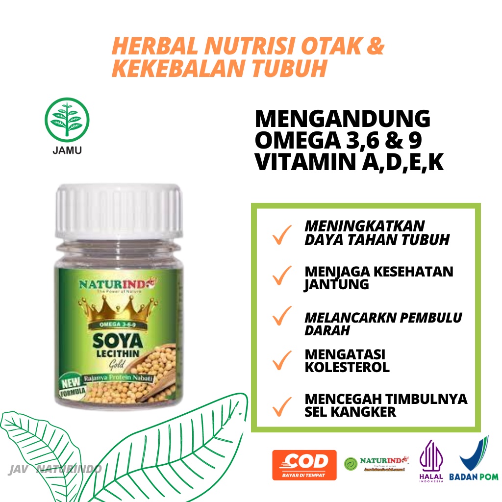 Soya Lecithin Obat Herbal Nutrisi otak Dan Kekebalan Tubuh Peningkat Imun Booster Buster Kapsul Ampu