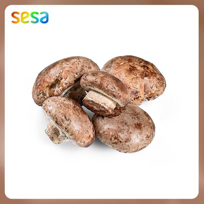 

TERMURAH Jamur Portabela Natural /200g Kode 1337