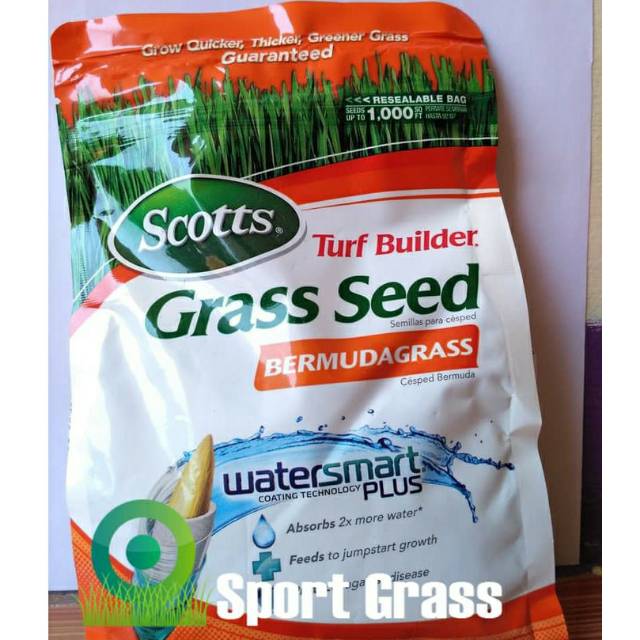 Original   BIJI RUMPUT SCOTTS TURF BUILDER BERMUDA GRASS