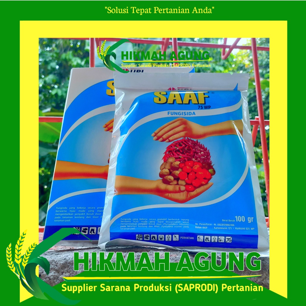 SAAF 75 WP 100 GRAM  Karbendazim dan Mankozeb - Pencegah Jamur