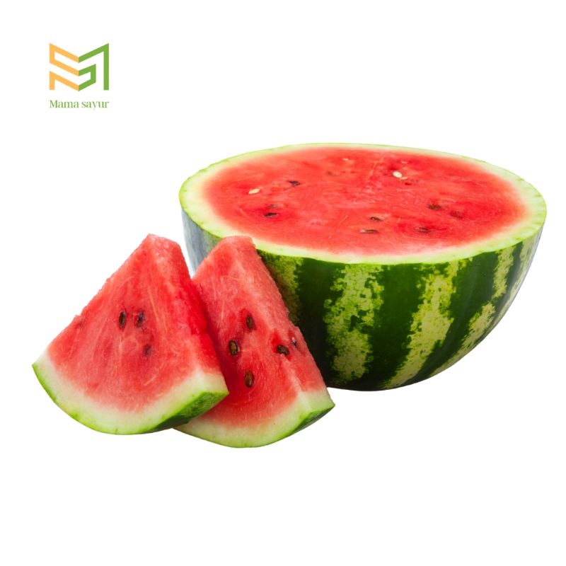 

Semangka segar per buah