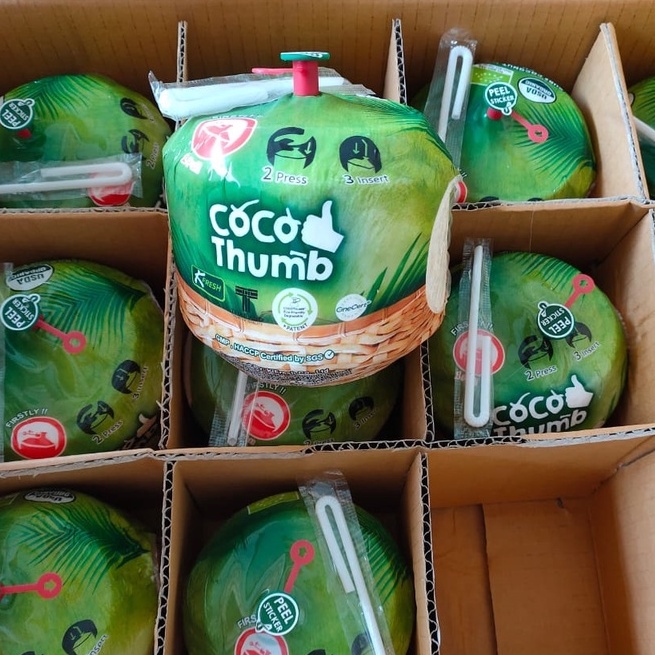 

THAI COCONUT COCOTHUMB KELAPA THAILAND - SUKABUAH