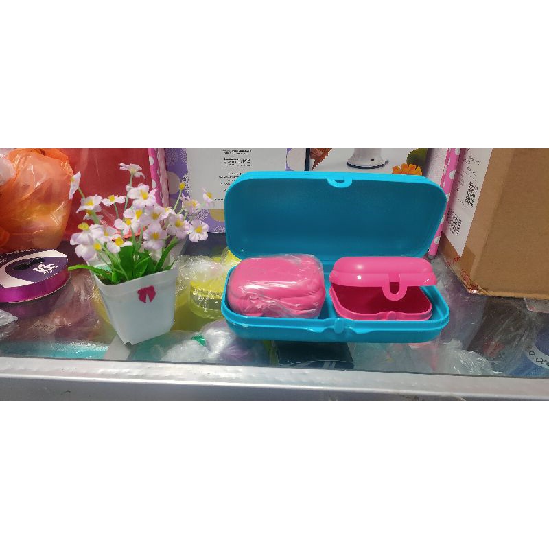Oyster Tupperware
