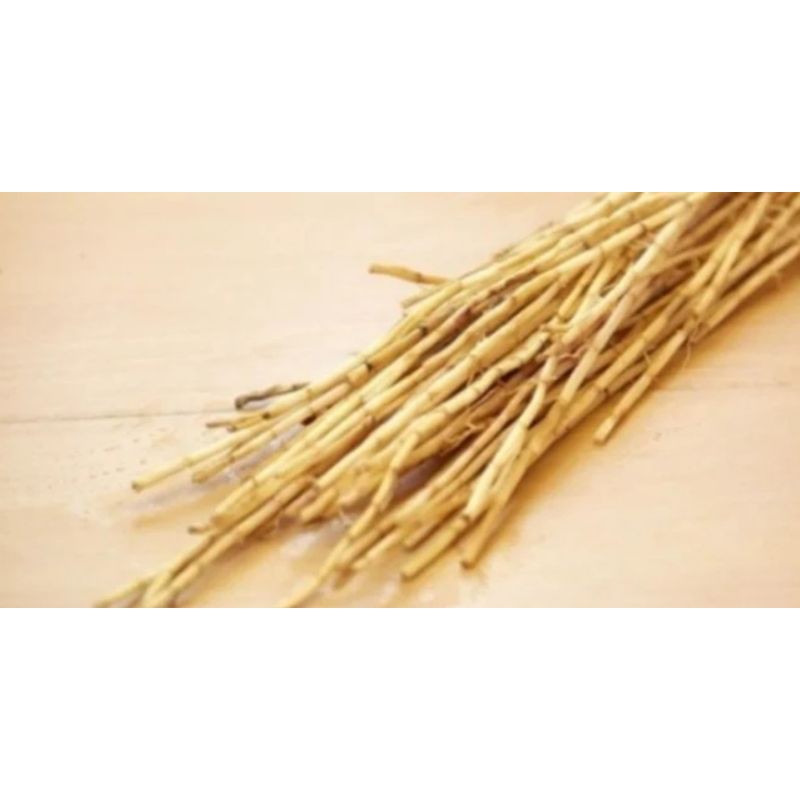 

Akar alang alang /250gram