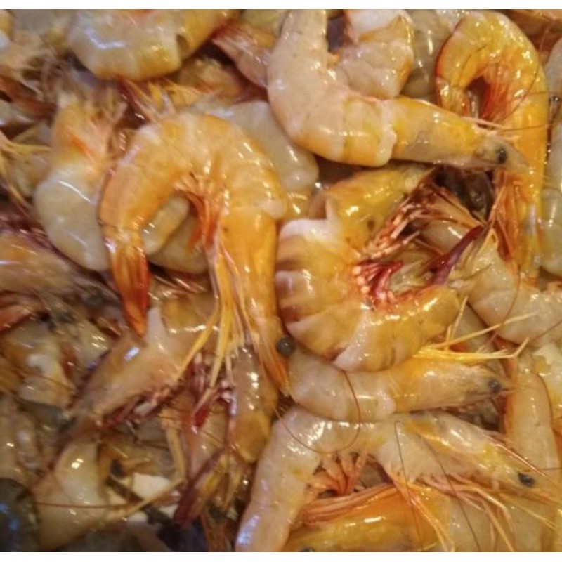 

jual udang jerbung segar per 500 gram