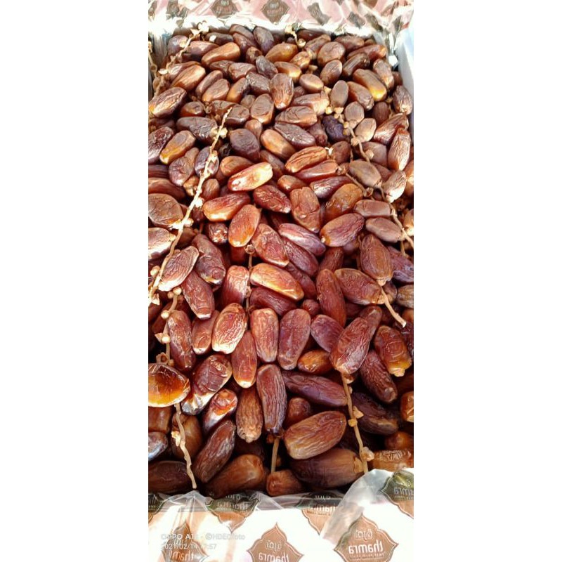 

KURMA TUNISIA TANGKAI PALM FRUIT / KURMA TANGKAI