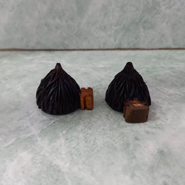 Cepuk burung conin mini 2pcs - cepuk burung kecil