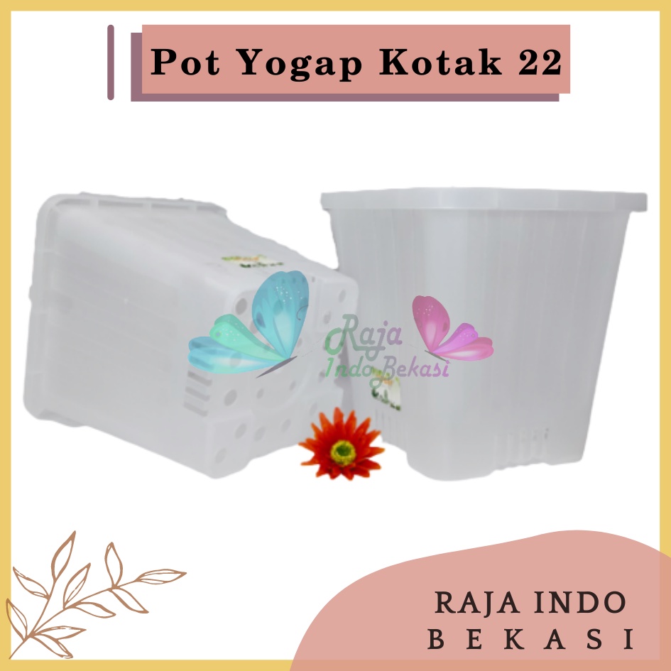 Pot Yogap Kotak 22 Transparan Bening Clear Pot Yogap 10 13 15 17 18 19 25 30 Pot Yogap Lusinan Pot Kotak Panjang Tinggi Pot Segi Empat Hias Panjang Plastik