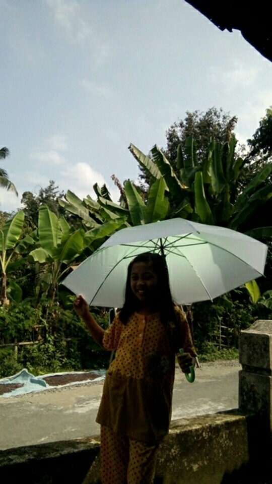 Payung Transparan 627