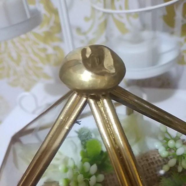 Tempat Cincin Terrarium