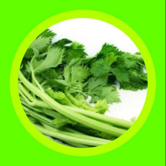 

SAYURAN SEGAR DAUN SELEDRI
