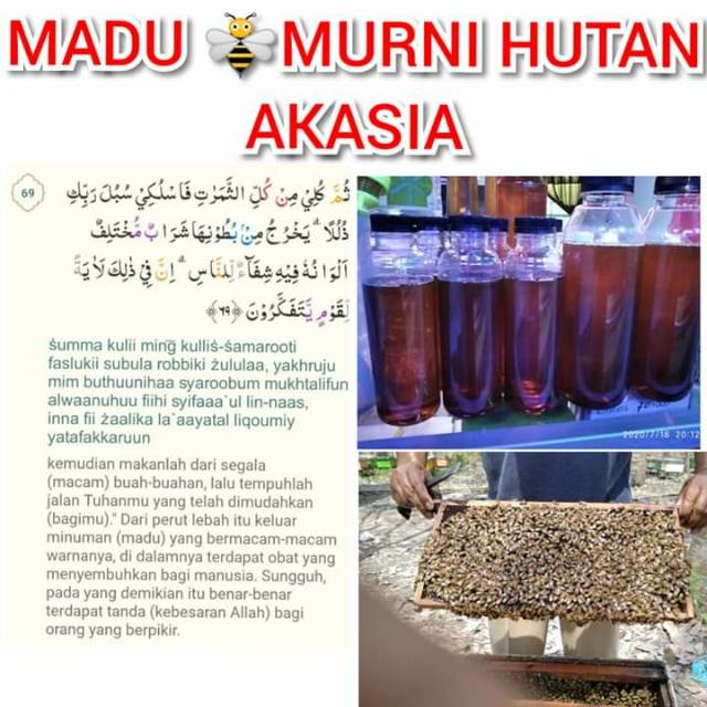 

Terlaris!!!! Madu murni lebah hutan akasia, madu asli panen sendiri banyak manfaatnya