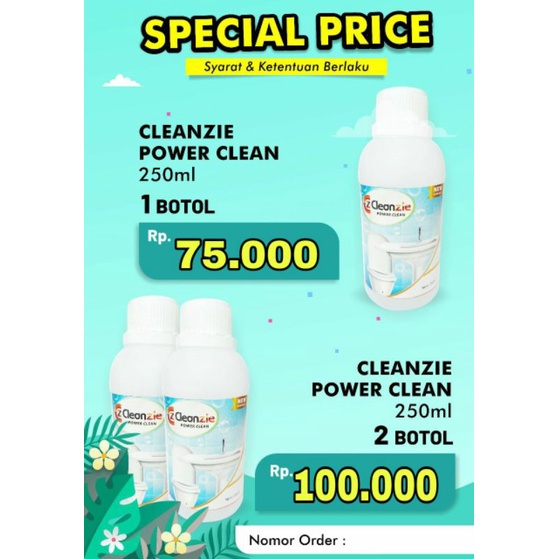 Cleanzie Power Clean