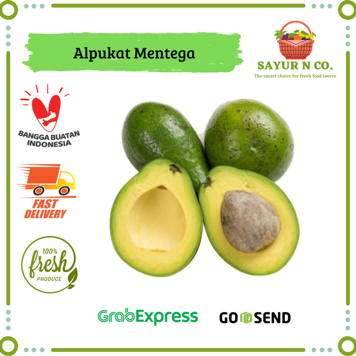 

Alpukat Mentega | Sayur N Co Bekasi