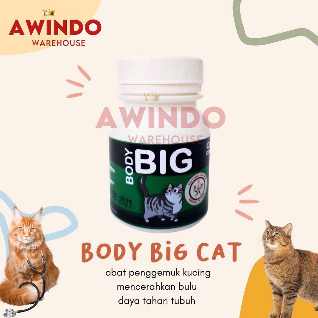 BODY BIG CAT POWDER - Obat Penggemuk Vitamin Kucing 40gr BODYBIG