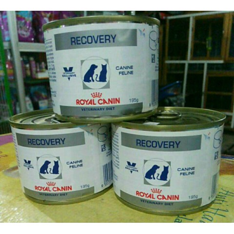 Wet Food Makanan Kucing Royal Canin Recovery