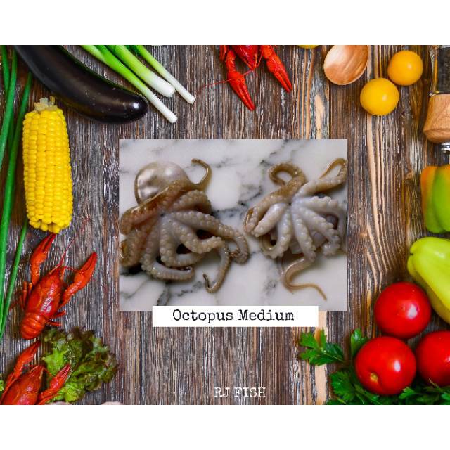 

Baby Octopus Gurita Medium RJ Fish 1 kg
