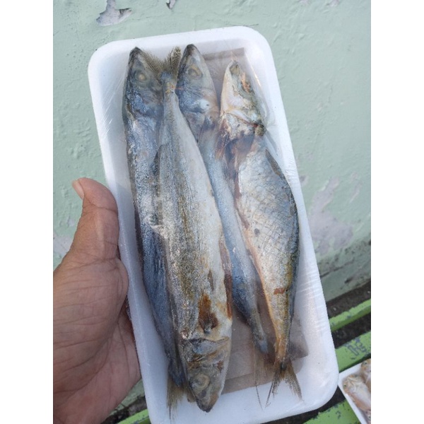

macam ikan asin