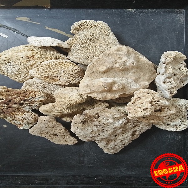 Batu Karang Laut Deadrock Aquascape Aquarium