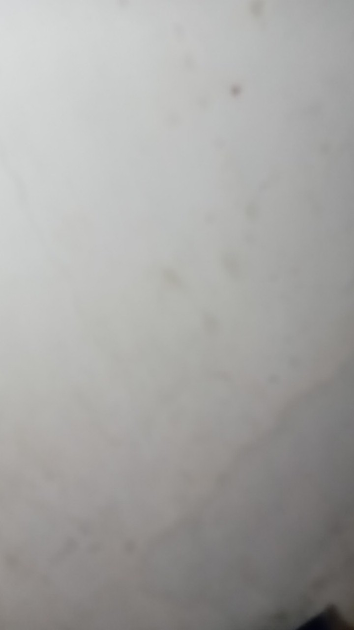 Kemeja Batik Motif Bakung Emas