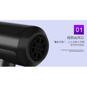 Shunrui Quick Dry+ Hair Dryer - XL-6666 - Black