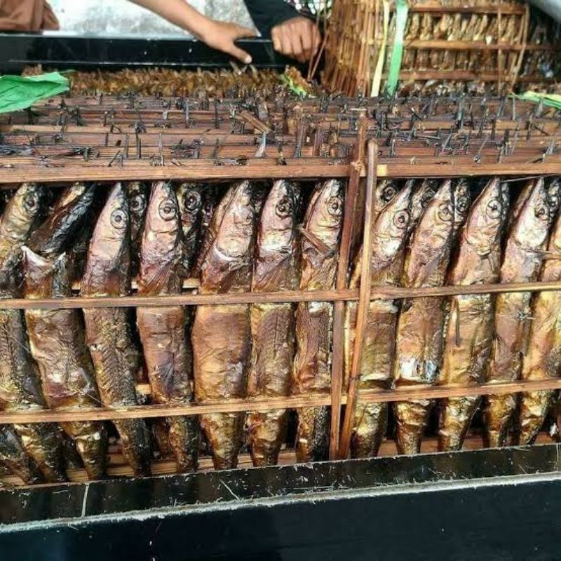 

IKAN ROA ASAP ASLI MANADO /1ekor