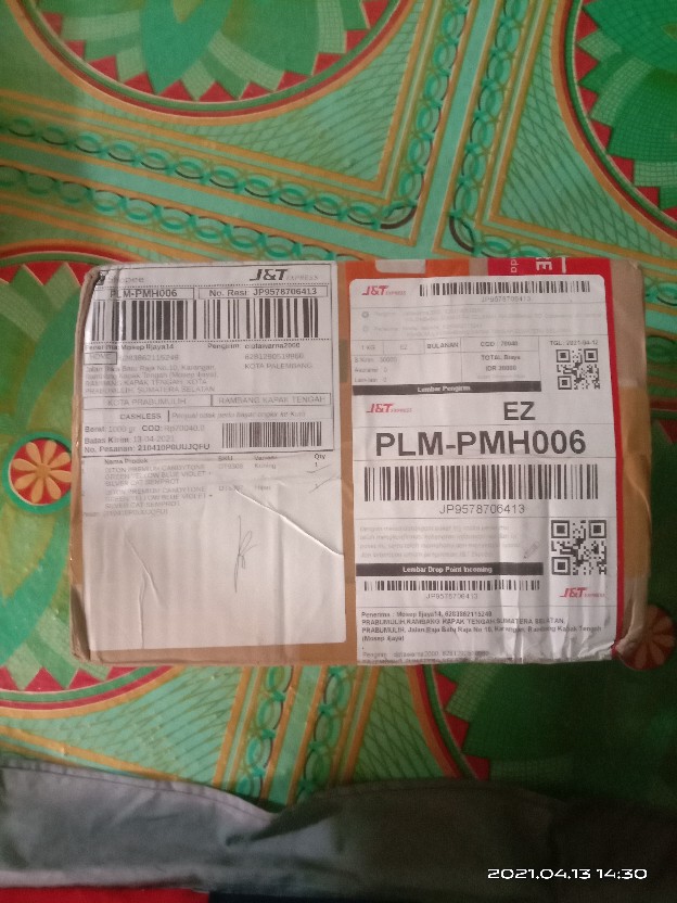 Diton Premium Candytone Green Yellow Blue Violet + Silver Cat Semprot