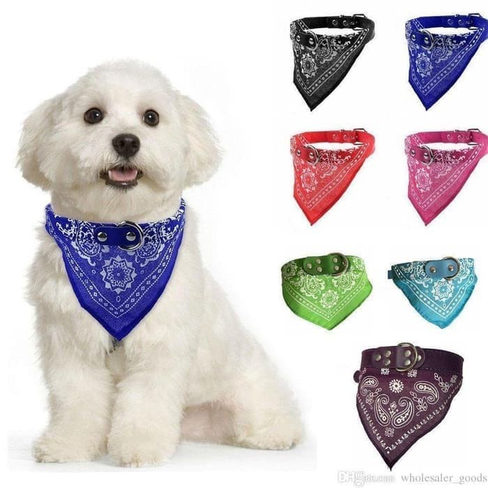 Pet Acsessories &quot;SCARF SYAL&quot; Kalung Cat Dog