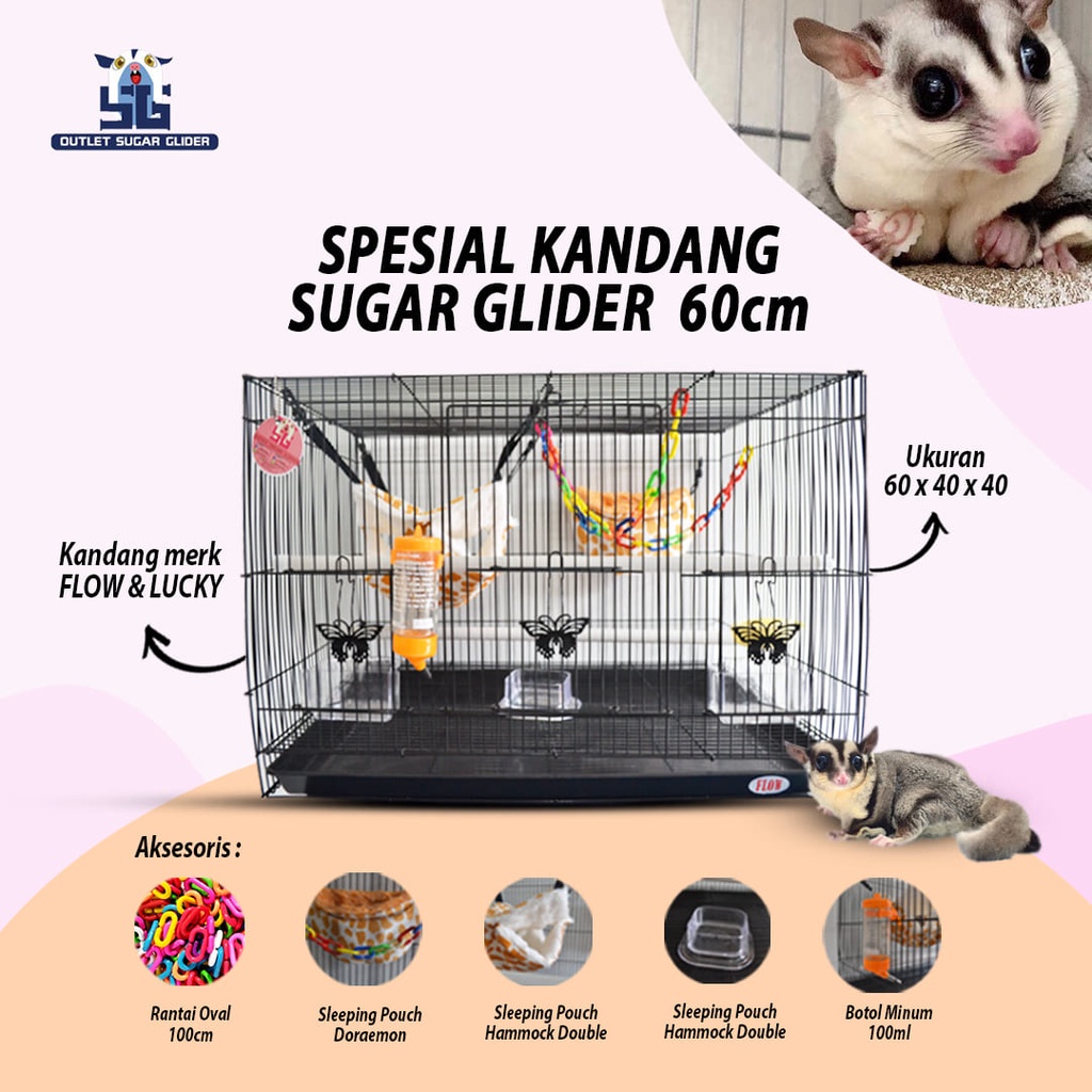 SPESIAL PAKET KANDANG 60CM - SUGAR GLIDER