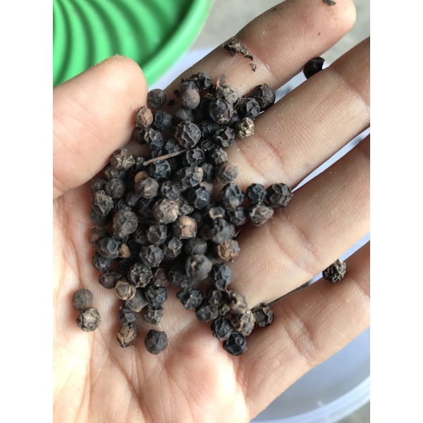 

Lada Hitam rempah 100 g