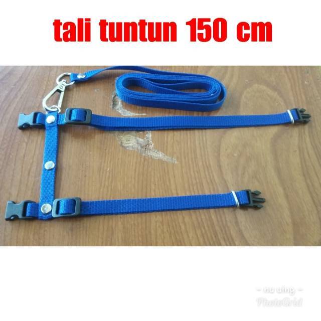 HARNESS tali kekang badan KUCING, musang, kelinci