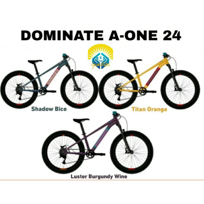 Sepeda gunung MTB DOMINATE A ONE 24 inch alloy 10 sp rem cakram