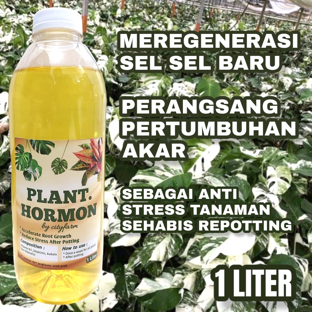 Pupuk Plant Hormon Tanaman Anti Stress Dan Hormon Akar 1 Liter