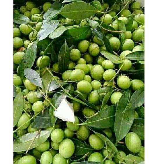 

(PROMO CLZ39) BUAH GANDARIA BUAH JATAKE JENTAK MUDA 250 GRAM ✴