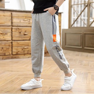 ti sweatpants