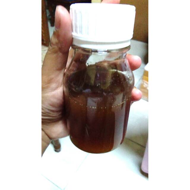 

MADU HUTAN ASLI / FORESH HONEY ASLI DARI NTT
