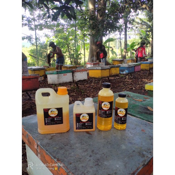 

MADU MULTIFLORA 100% MURNI || (500ml)
