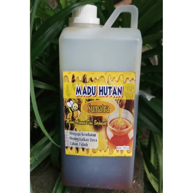 

Madu asli Sumatra