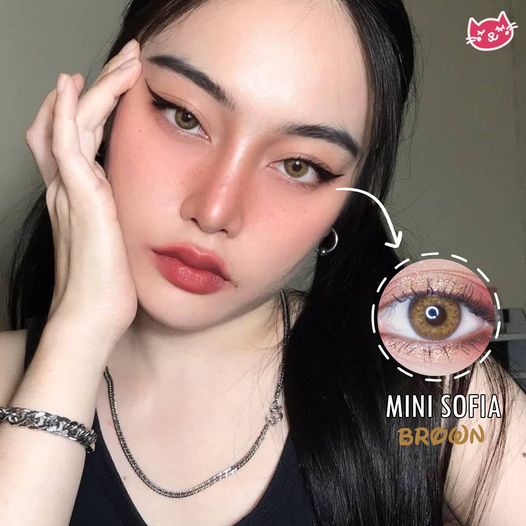 Softlens Kitty Kawaii Mini Sofia - Soflen Dupe Bollycon DNA