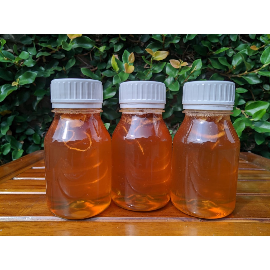 

Madu Hutan Multiflora + Ginseng