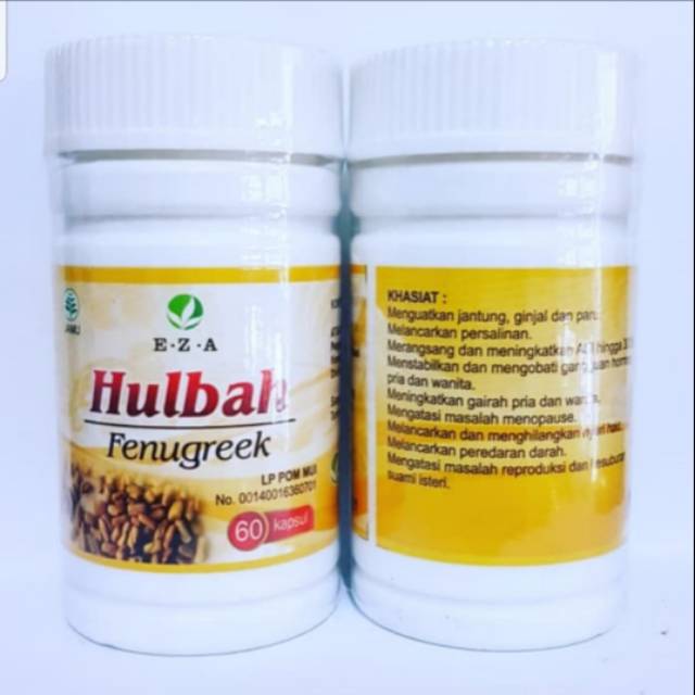 

Hulba ezha pelancar asi