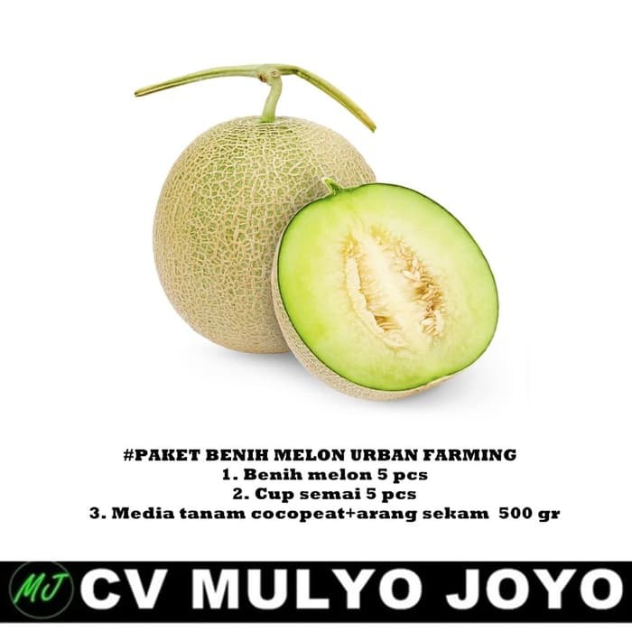 Benih bibit seed Musk Melon F1 hybrid kemasan paket semai urban farmin