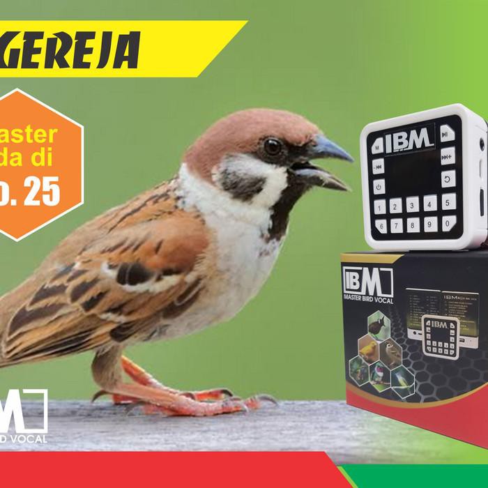 ( Buku Import ) IBM Master Bird Vocal / audio master / masteran burung / mp3