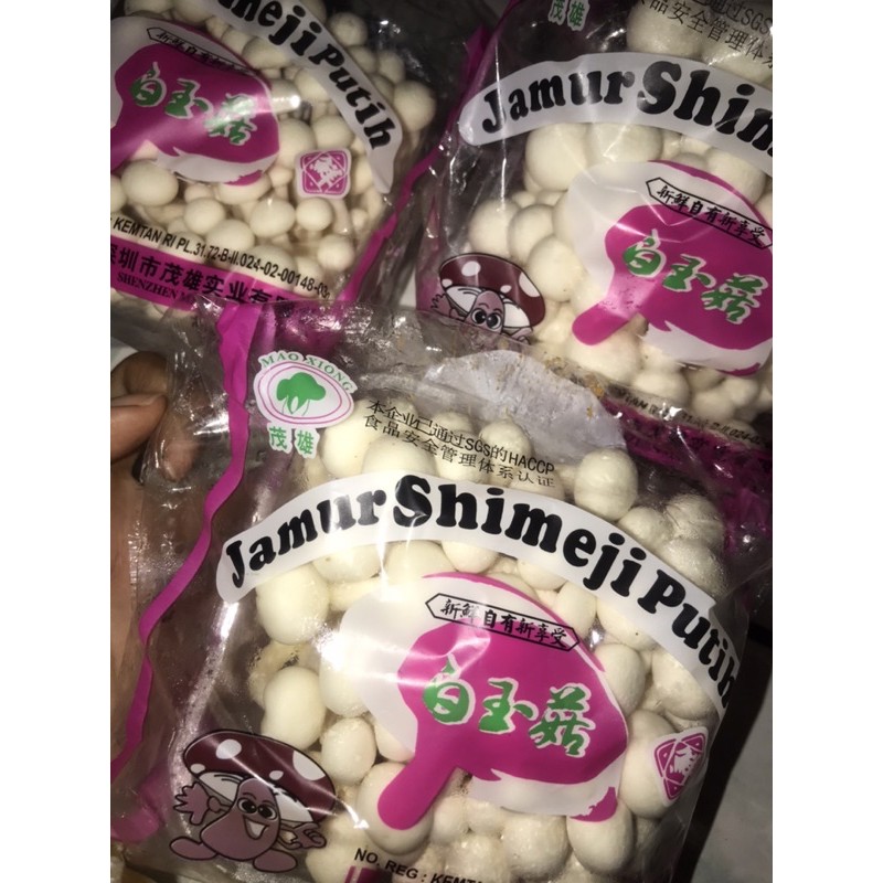 

jamur putih shimeji