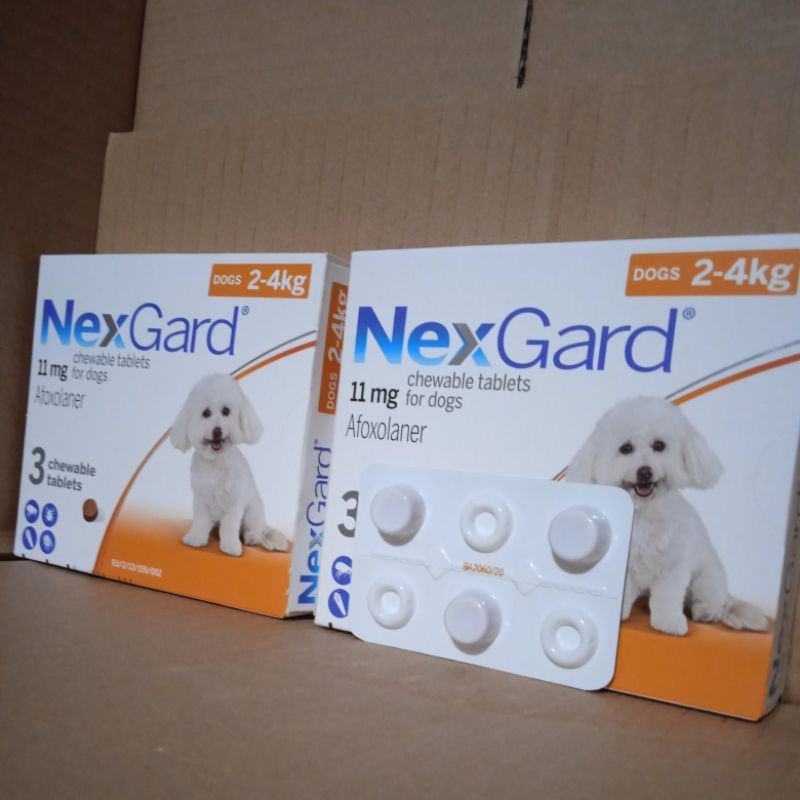 NexGard dog size small 2-4kg anjing obat kutu demodex Scabies 1box