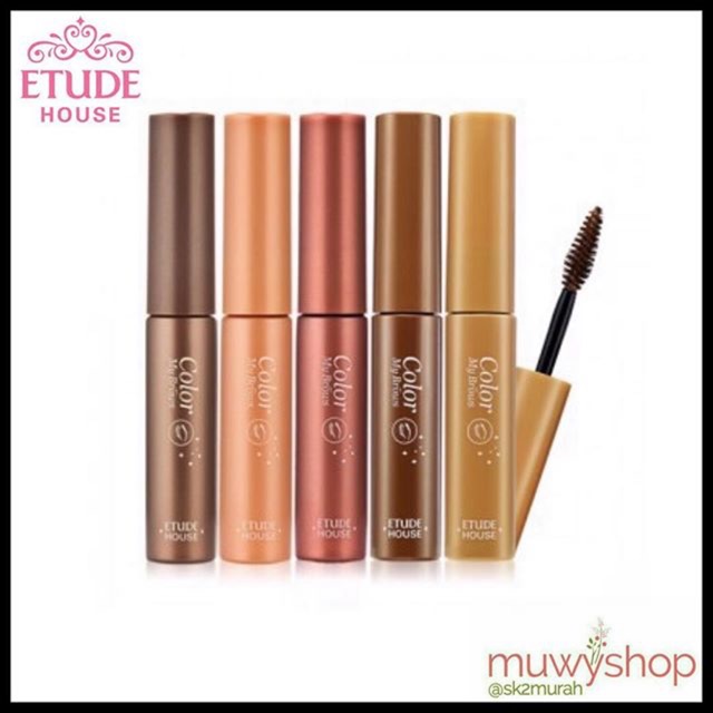 Etude House Color My Brows 4.5gr / 9gr