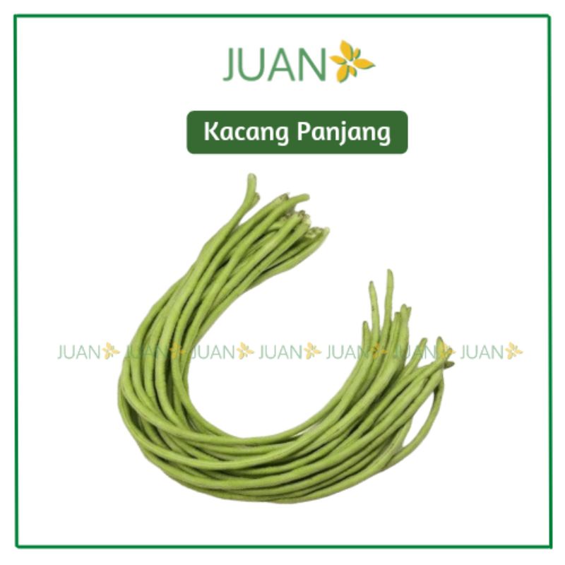 

Kacang Panjang - Juan Freshmart