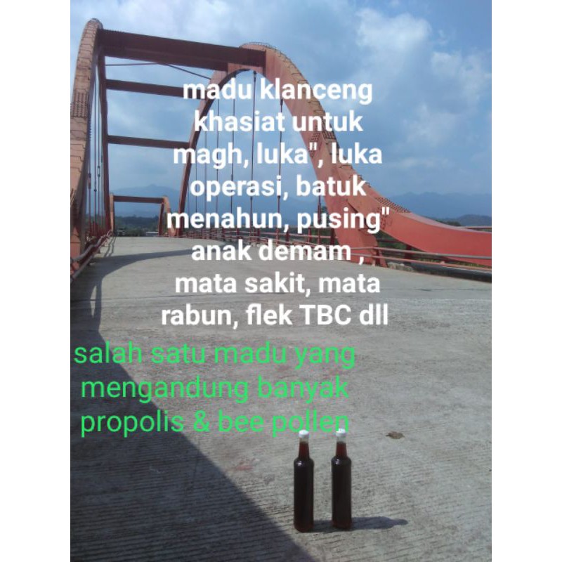 

madu klanceng