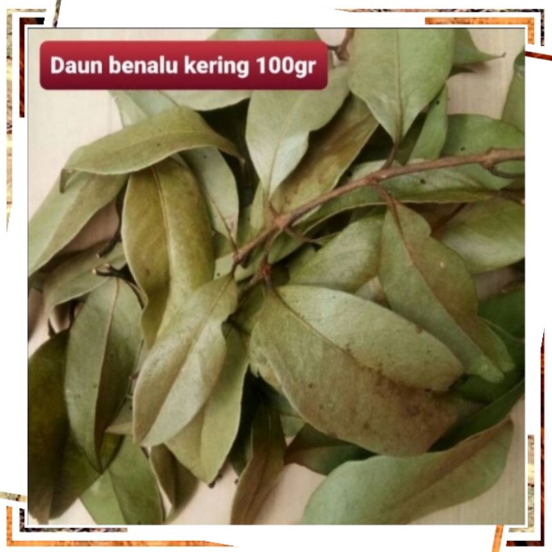 Daun benalu kering 100gr